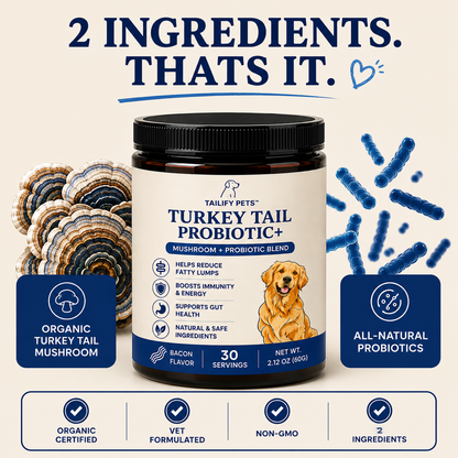 Turkey Tail Probiotic