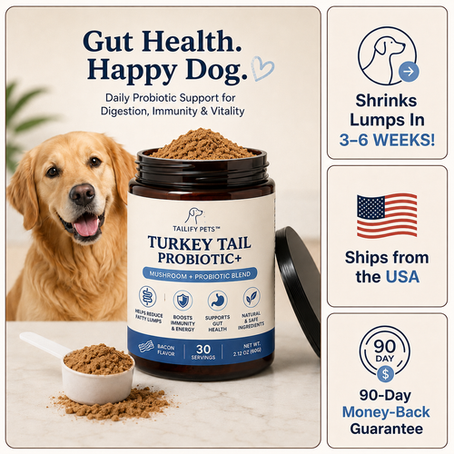 Turkey Tail Probiotic